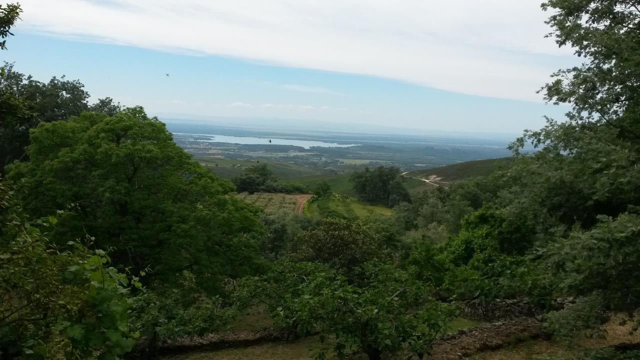 Abejas 1 De El Vergel De Chilla Candeleda Bagian luar foto