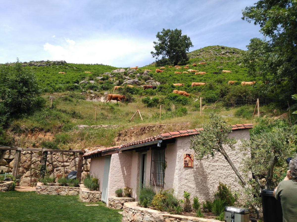 Abejas 1 De El Vergel De Chilla Candeleda Bagian luar foto