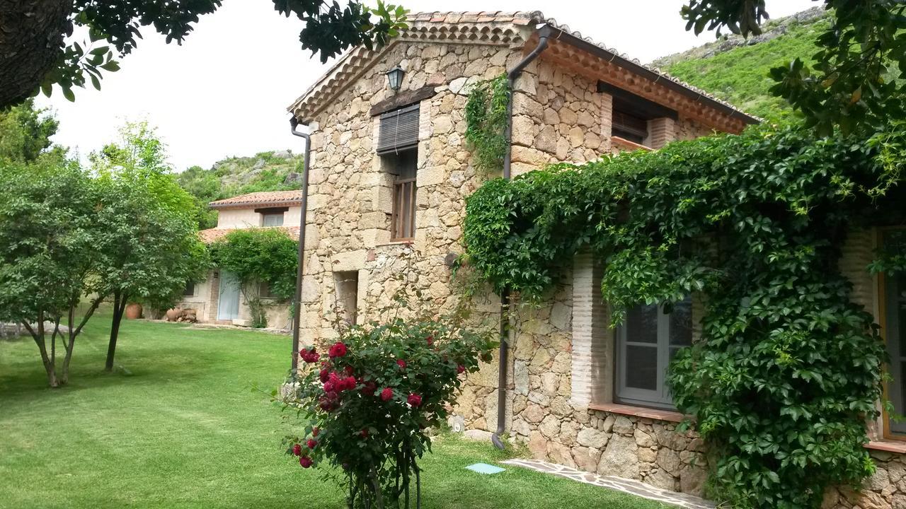 Abejas 1 De El Vergel De Chilla Candeleda Bagian luar foto